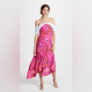 Tanya Taylor Falling Floral Virginia Dress Size 2 NWT